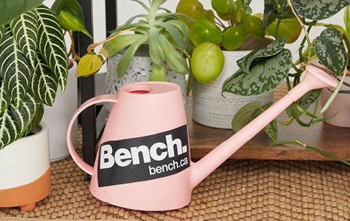 How to Winterize Your Plants